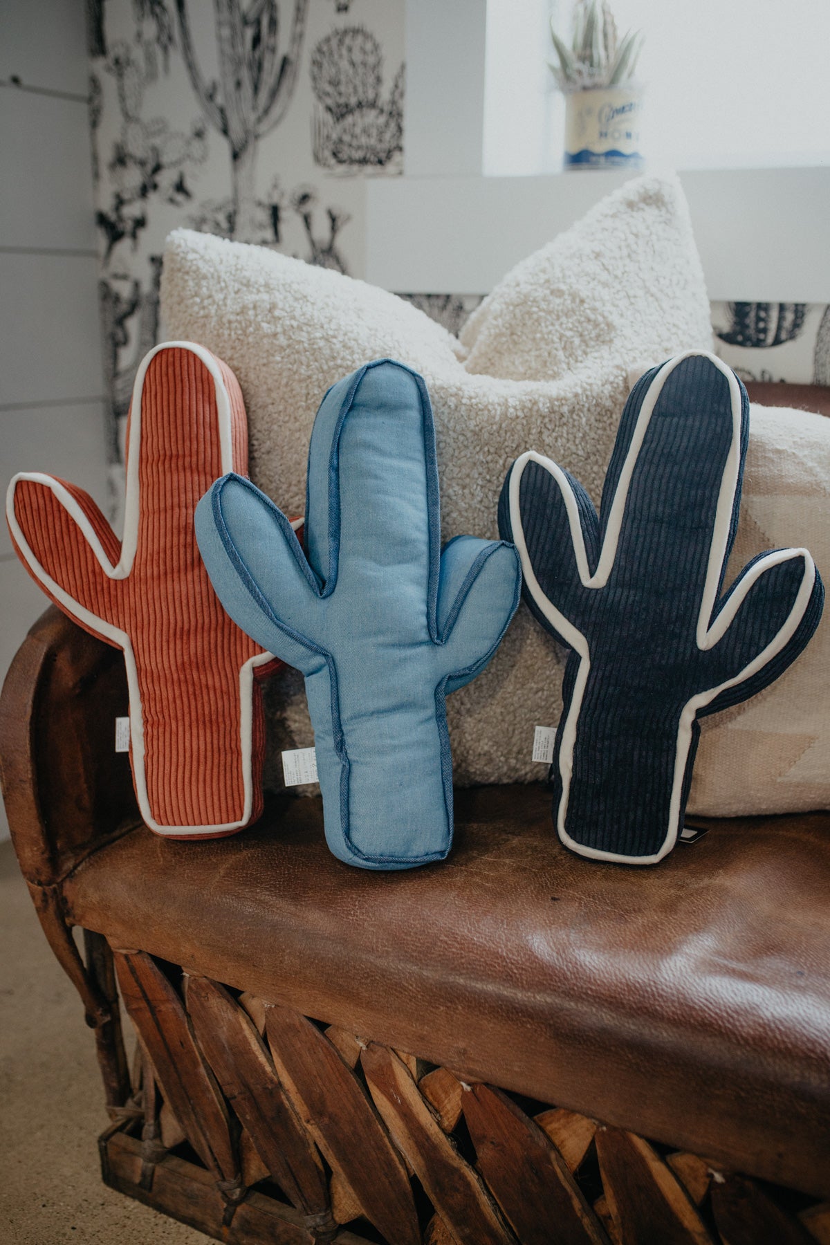 Kick A Cactus Pillow (Multiple Colours)