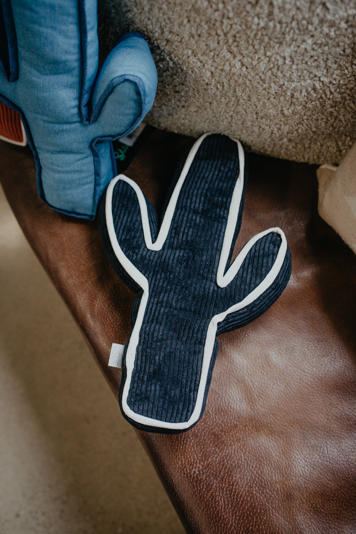 Kick A Cactus Pillow (Multiple Colours)