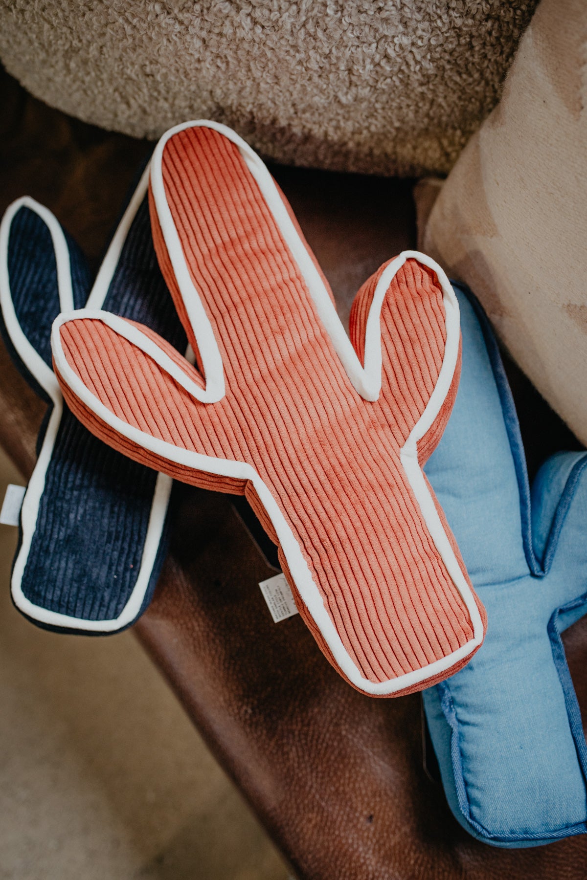 Kick A Cactus Pillow (Multiple Colours)