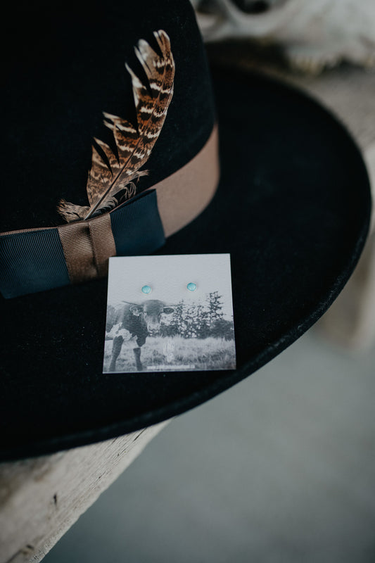Dainty Turquoise Stud Earrings