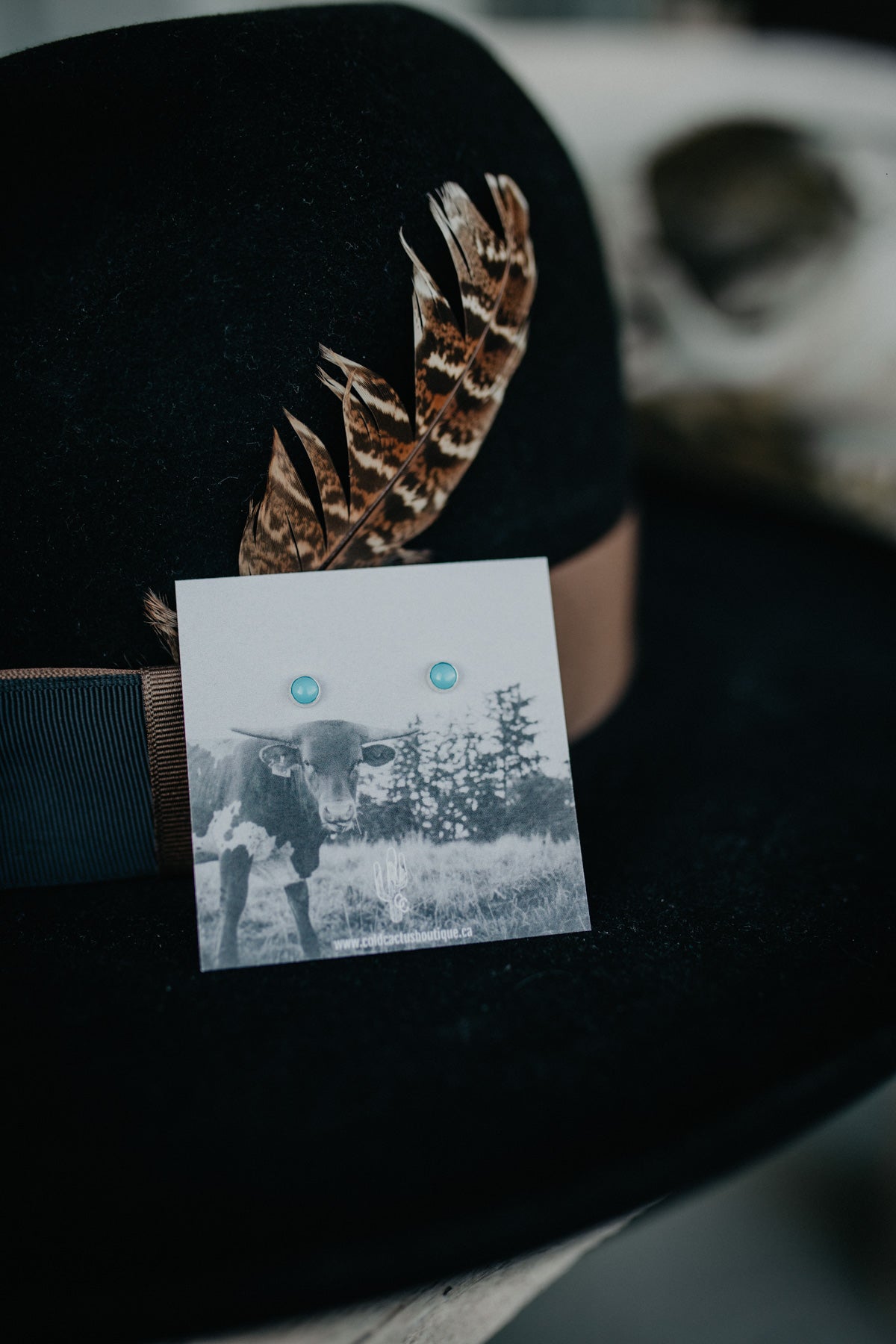 Dainty Turquoise Stud Earrings