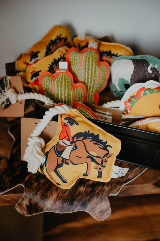 Rope Dog Toys