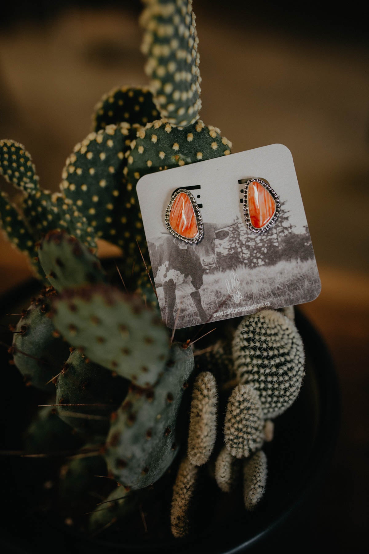 Coral Earrings with Beaded Sterling Border