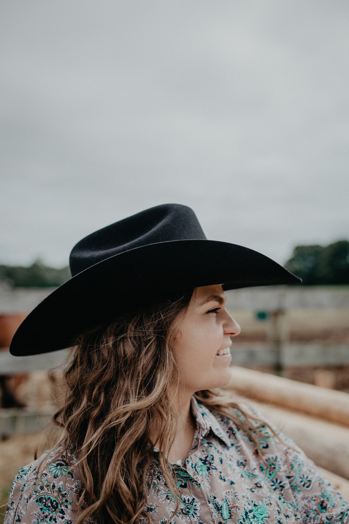 'Skyline' 6X Felt Cowboy Hat by Stetson (2 Colours)