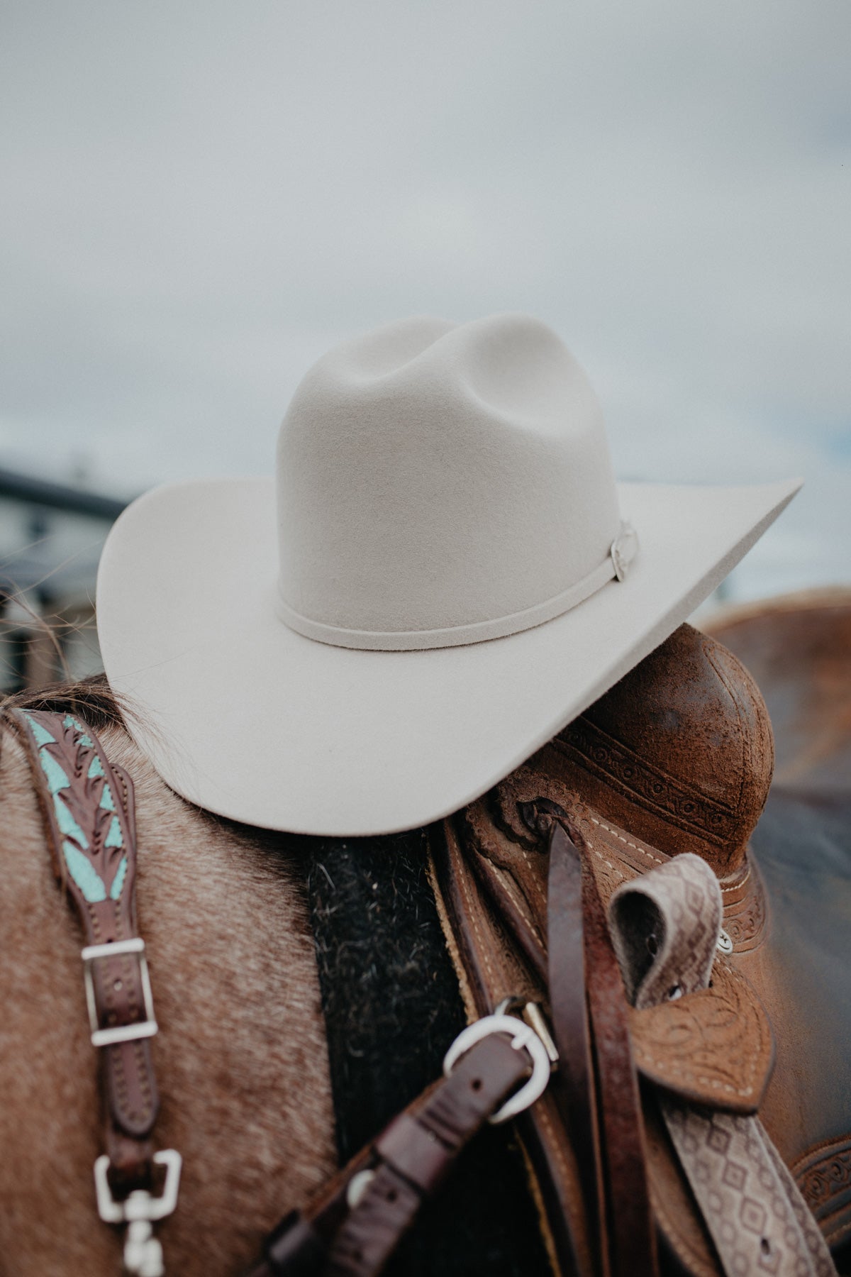 'Skyline' 6X Felt Cowboy Hat by Stetson (2 Colours)