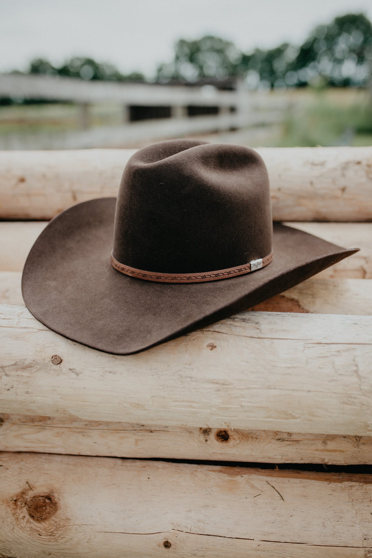 'Cedar Trail' 6X Felt Cowboy Hat by George Strait X Resistol (Chocolate)
