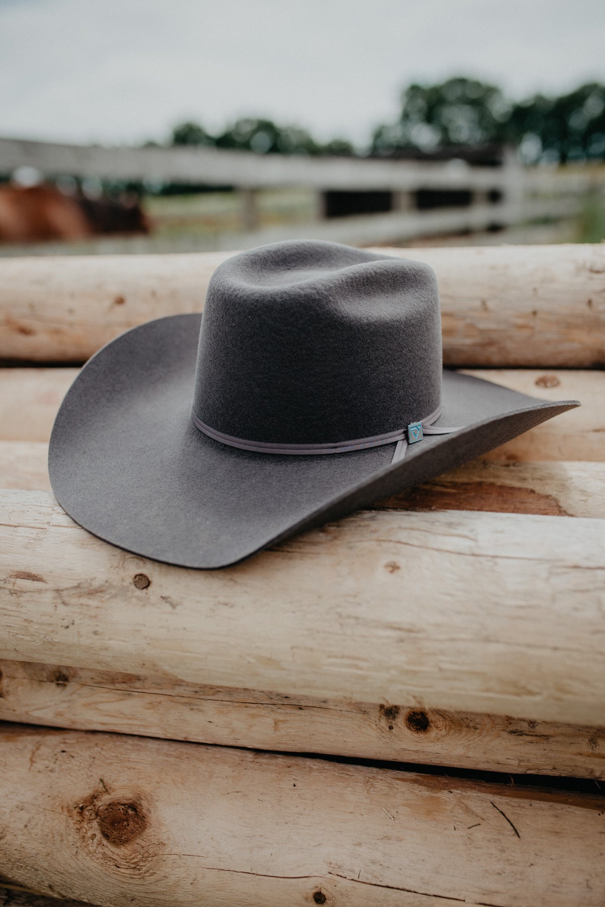 '9th Round' 3X Felt Cowboy Hat Cody Johnson X Resistol (Granite)