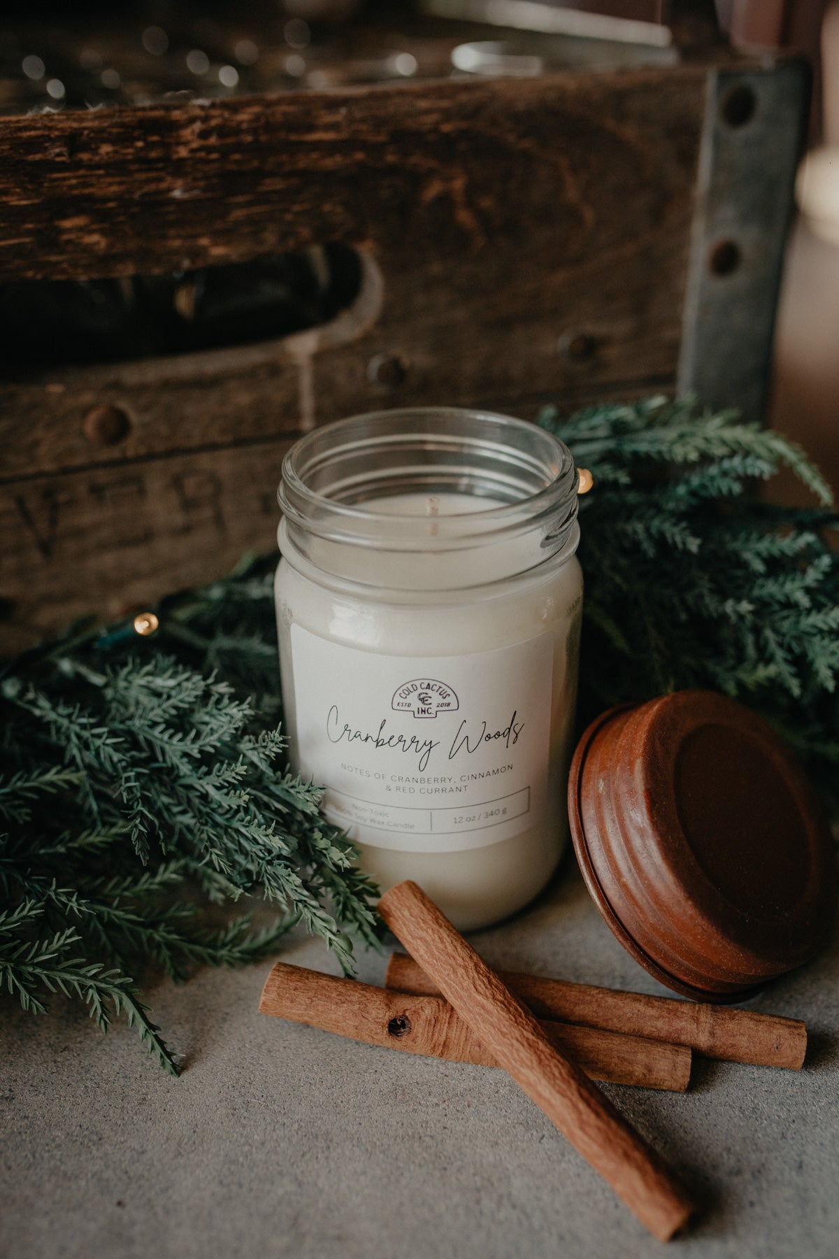 Cold Cactus Exclusive 100% Soy Wax Candle