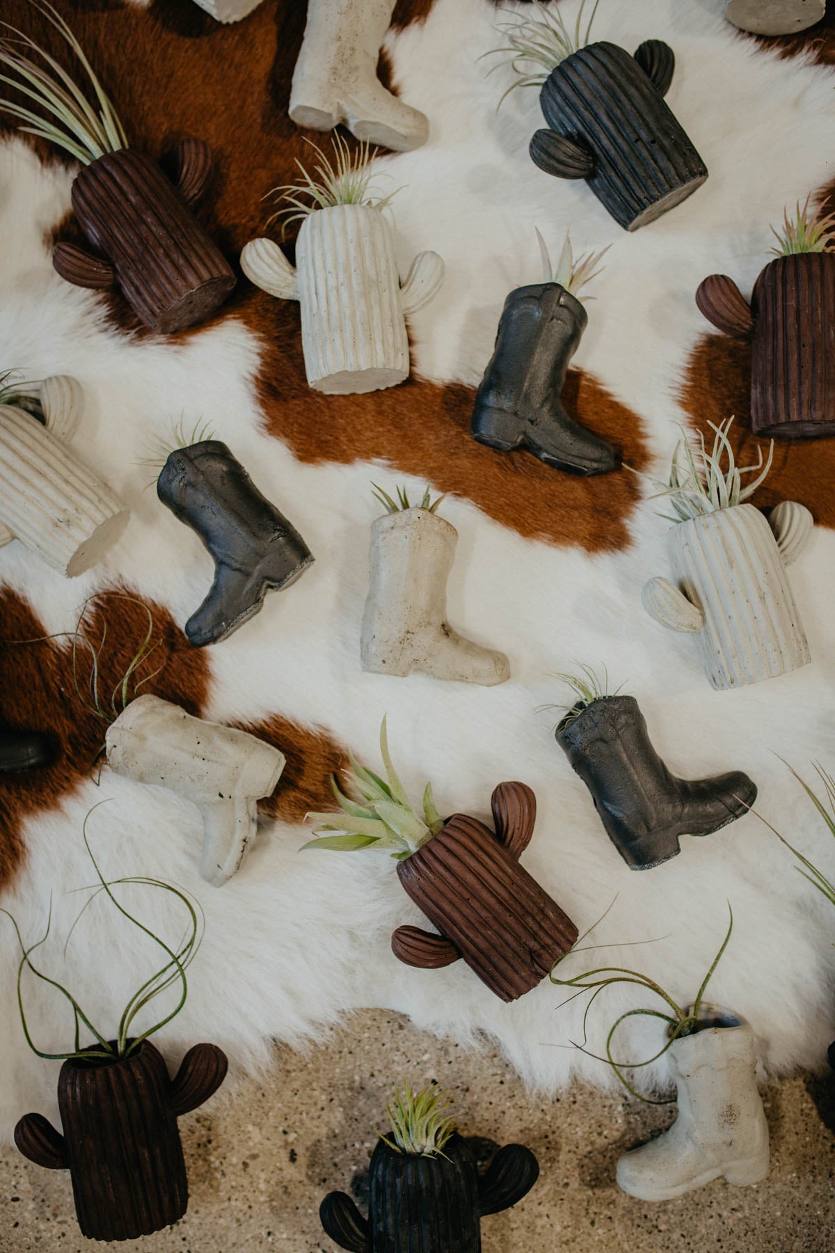 Concrete Air Plant/Matches Holder