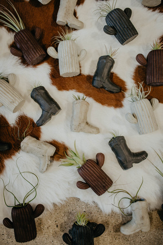 Concrete Air Plant/Matches Holder