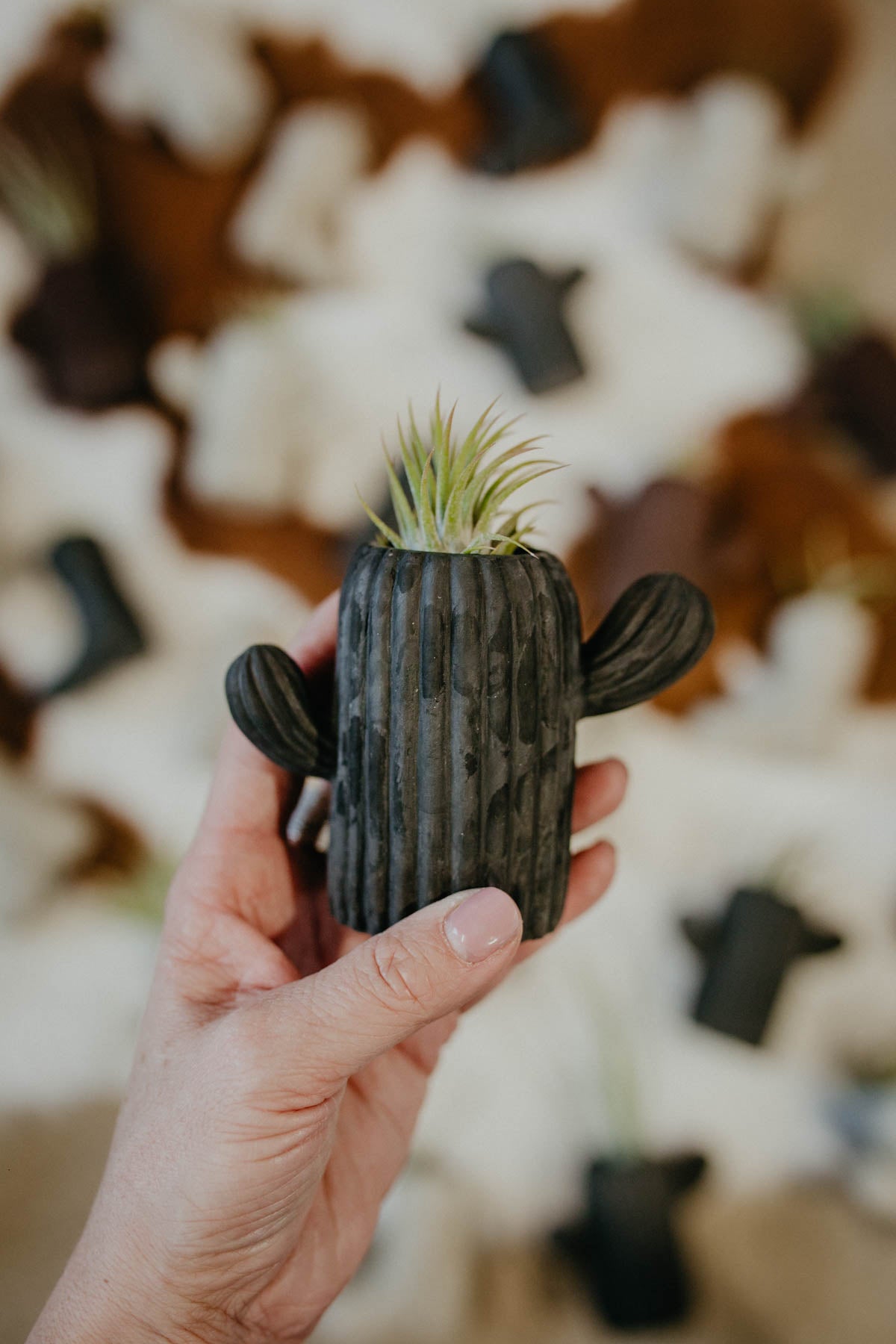 Concrete Air Plant/Matches Holder