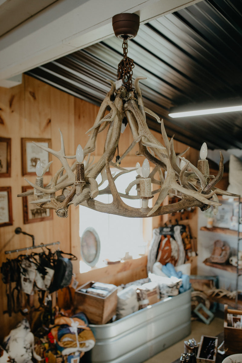 "Yellow Stone" Authentic Antler Chandelier