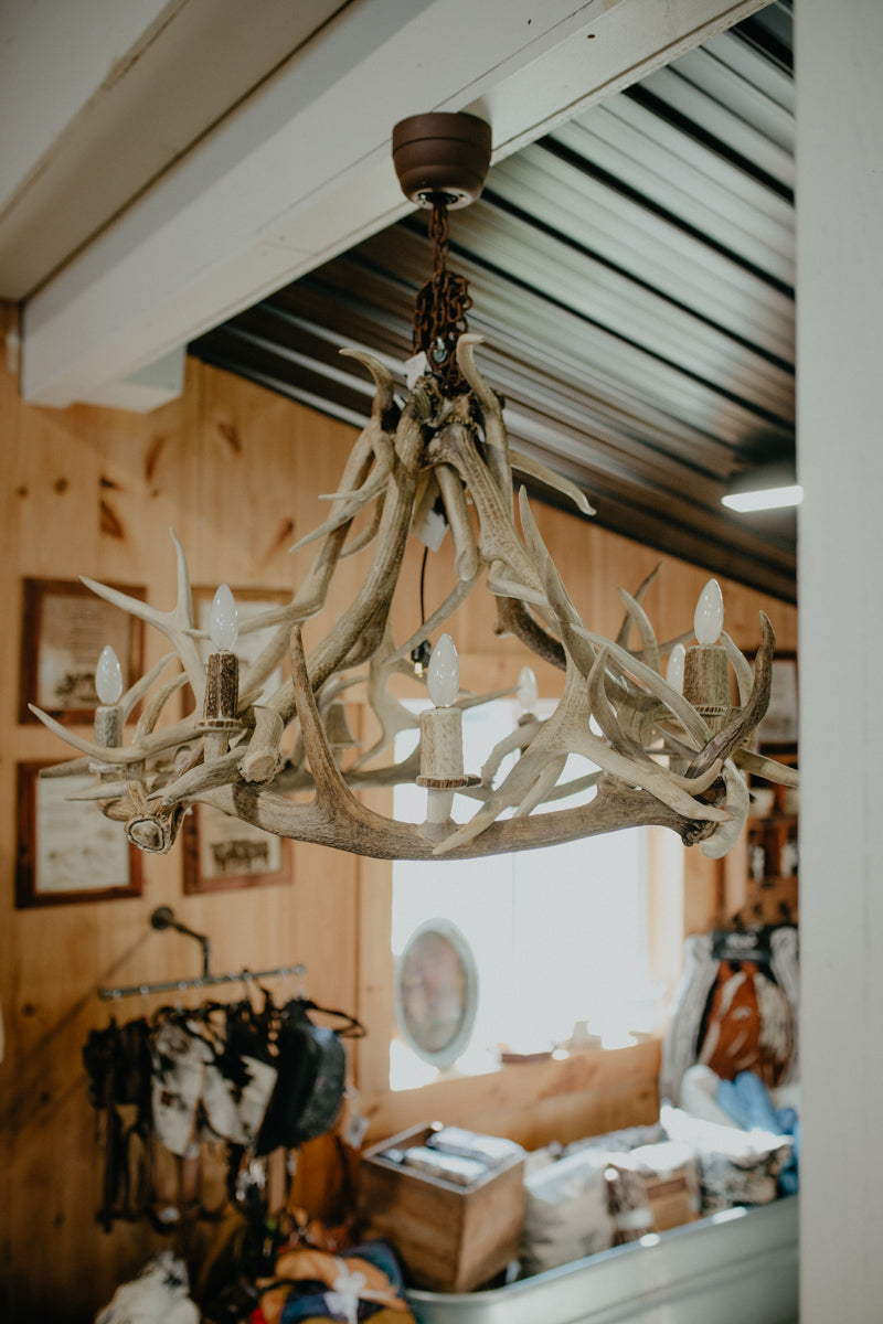 "Yellow Stone" Authentic Antler Chandelier