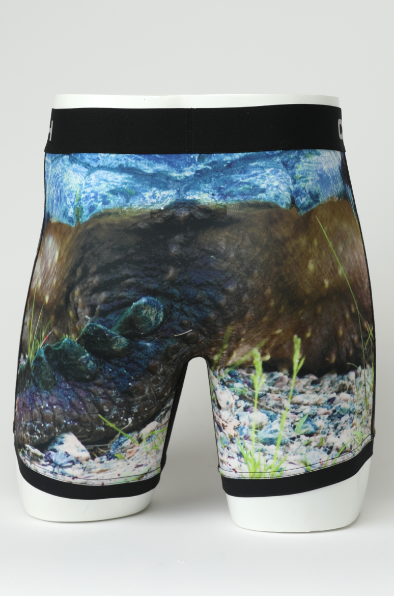 'Snapping Turtle' Boxer Brief 6" Inseam by CINCH (S-XL)