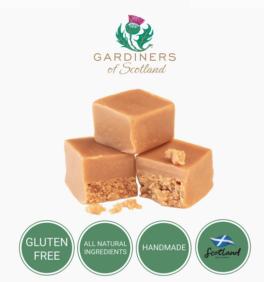 Highland Cow Vanilla Fudge Tin