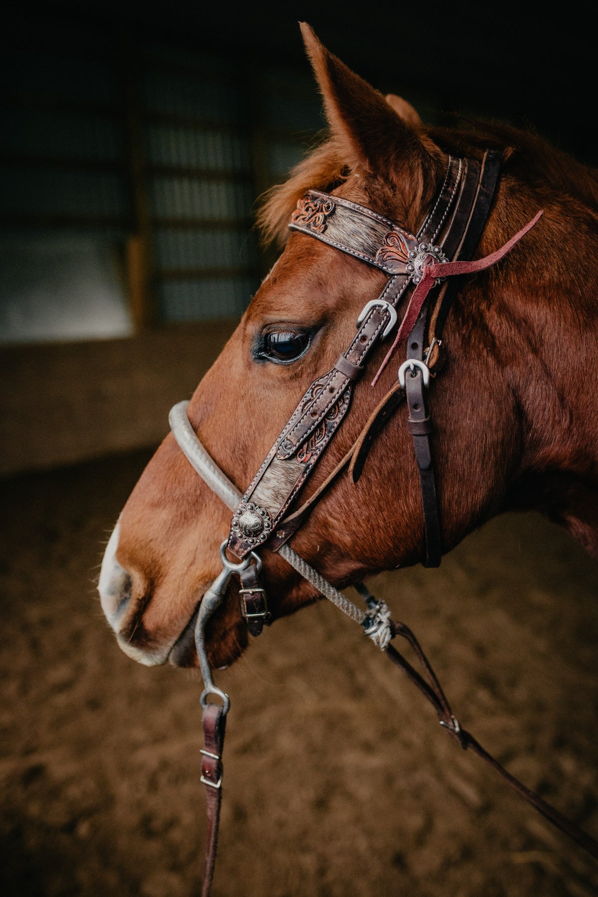 Cowhide Inlay and Leather Tooled Browband Headstall (Horse & Pony)