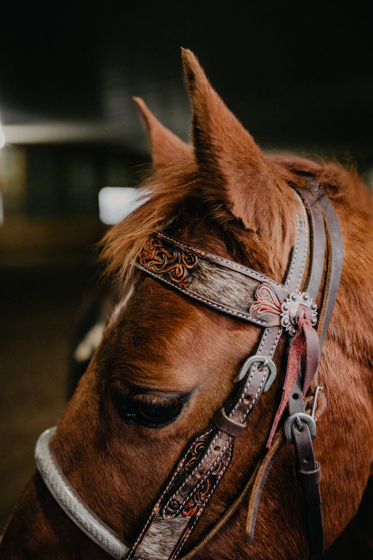 Cowhide Inlay and Leather Tooled Browband Headstall (Horse & Pony)