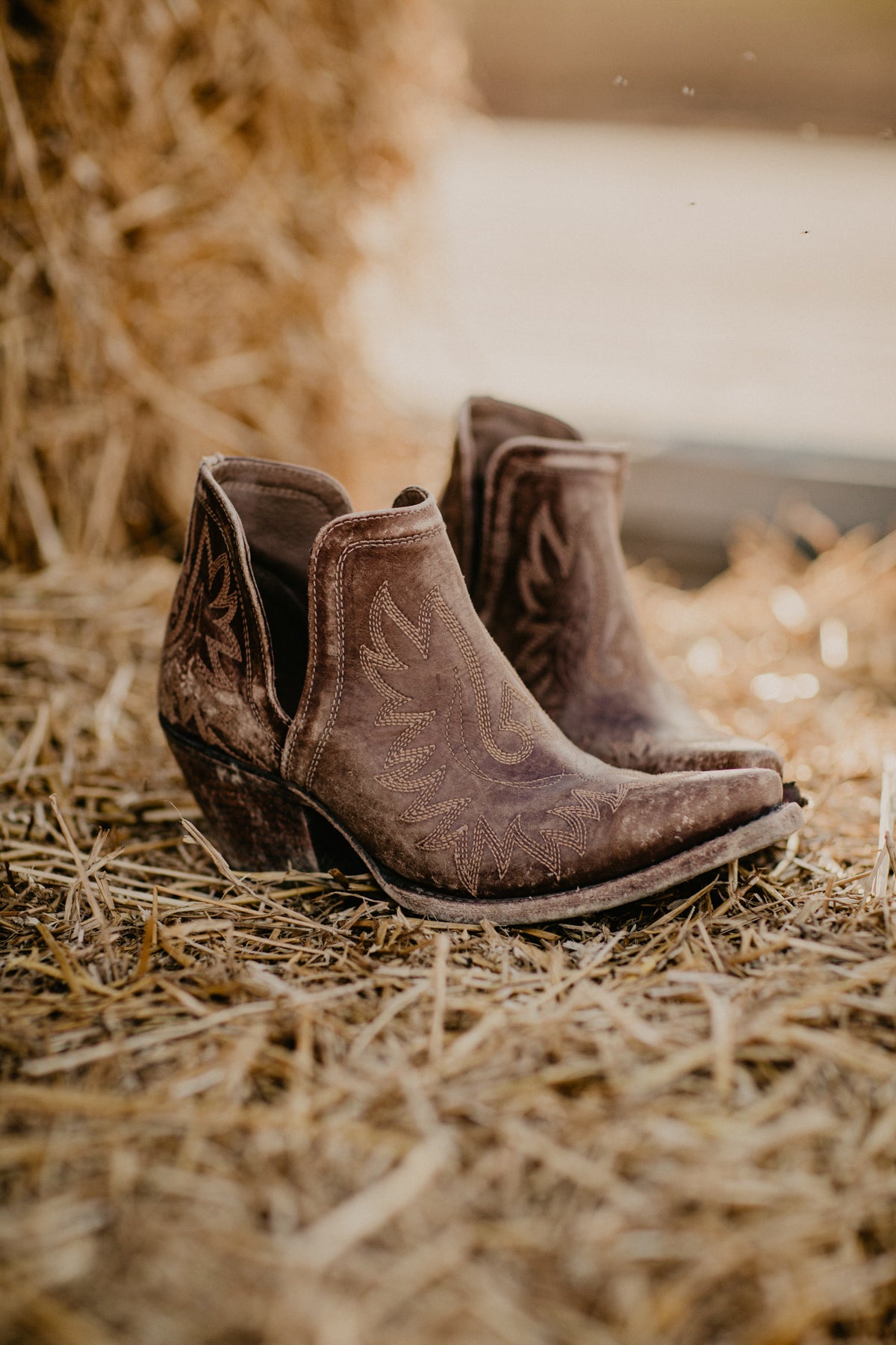 Ariat Dixon Ankle Bootie -Naturally Distressed Brown