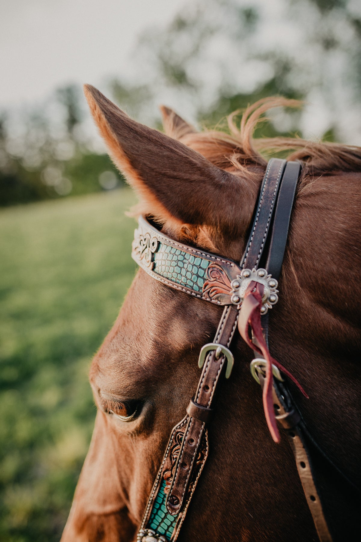 Turquoise Faux Gator and Floral Leather Tooled Browband Headstall