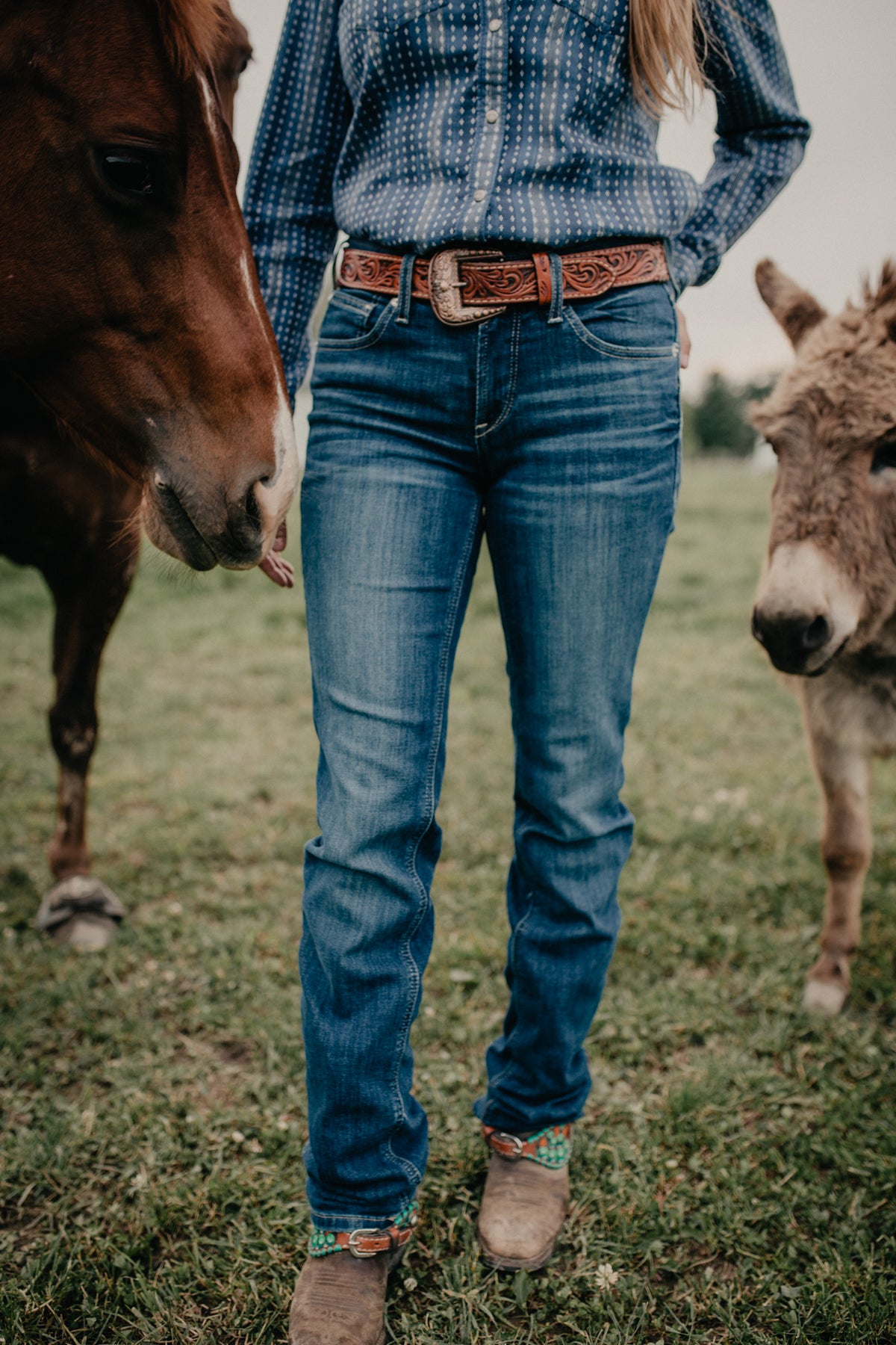 'Abby’ Ariat Perfect Rise Straight Leg Jean (Sizes 25-24W Extended)