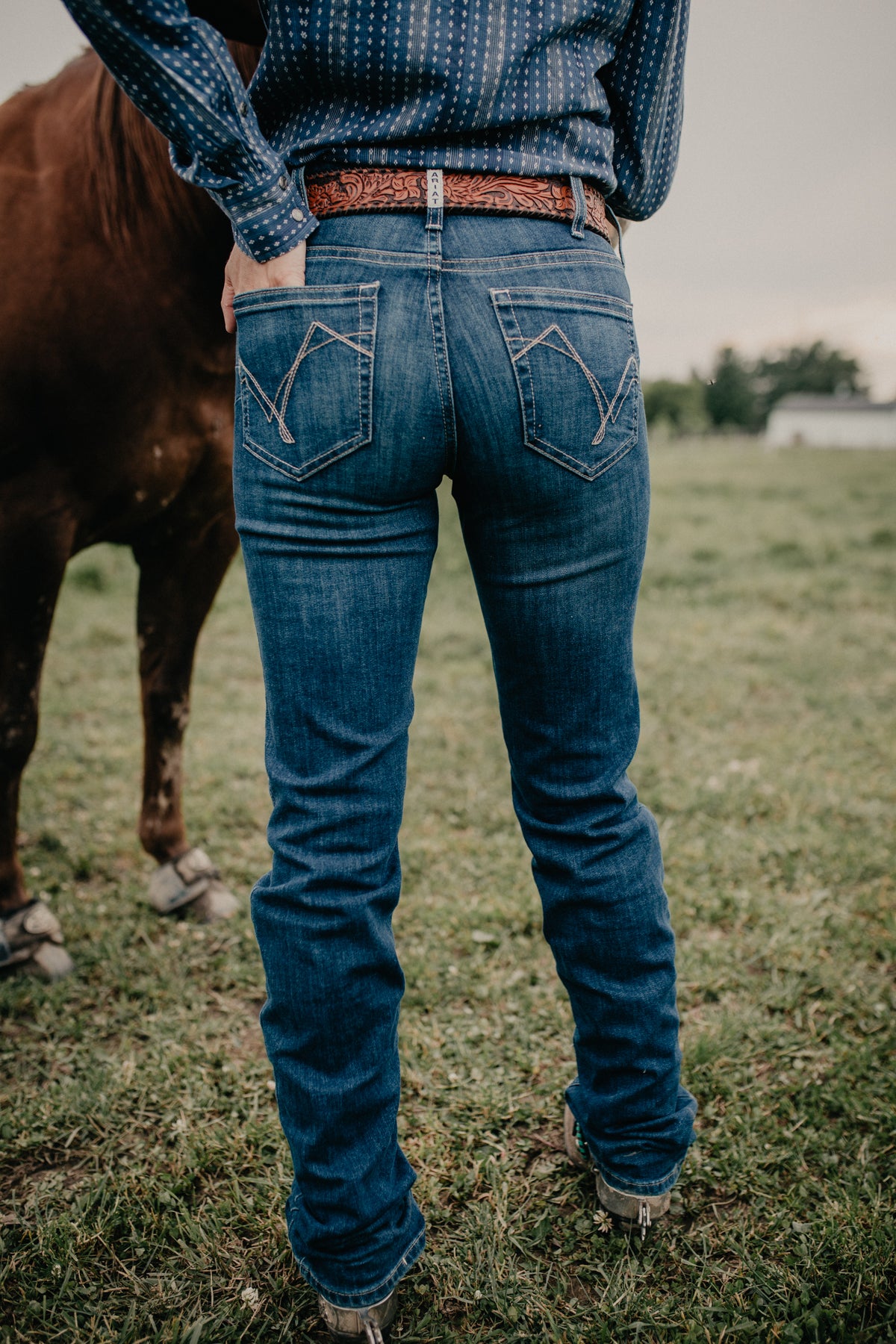 'Abby’ Ariat Perfect Rise Straight Leg Jean (Sizes 25-24W Extended)