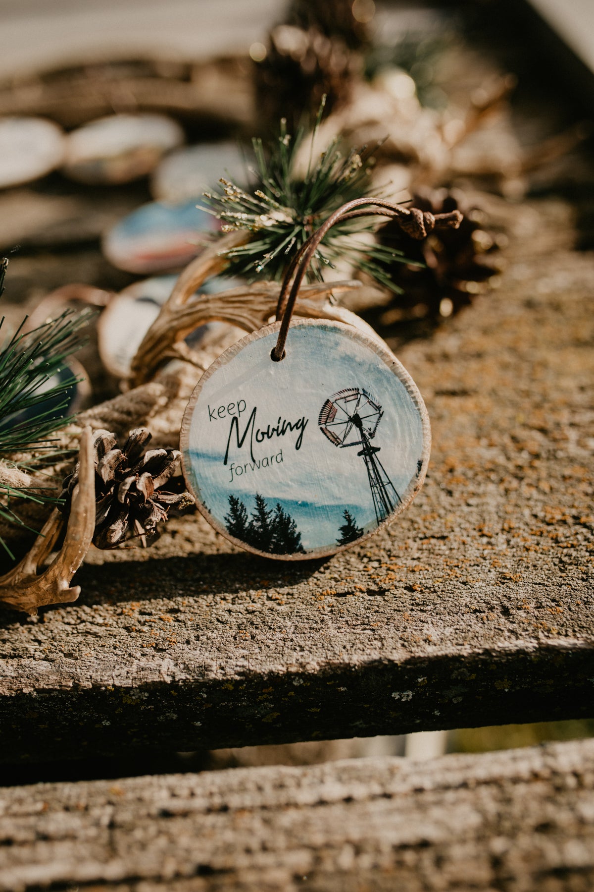 Wooden Tree Slab Ornaments