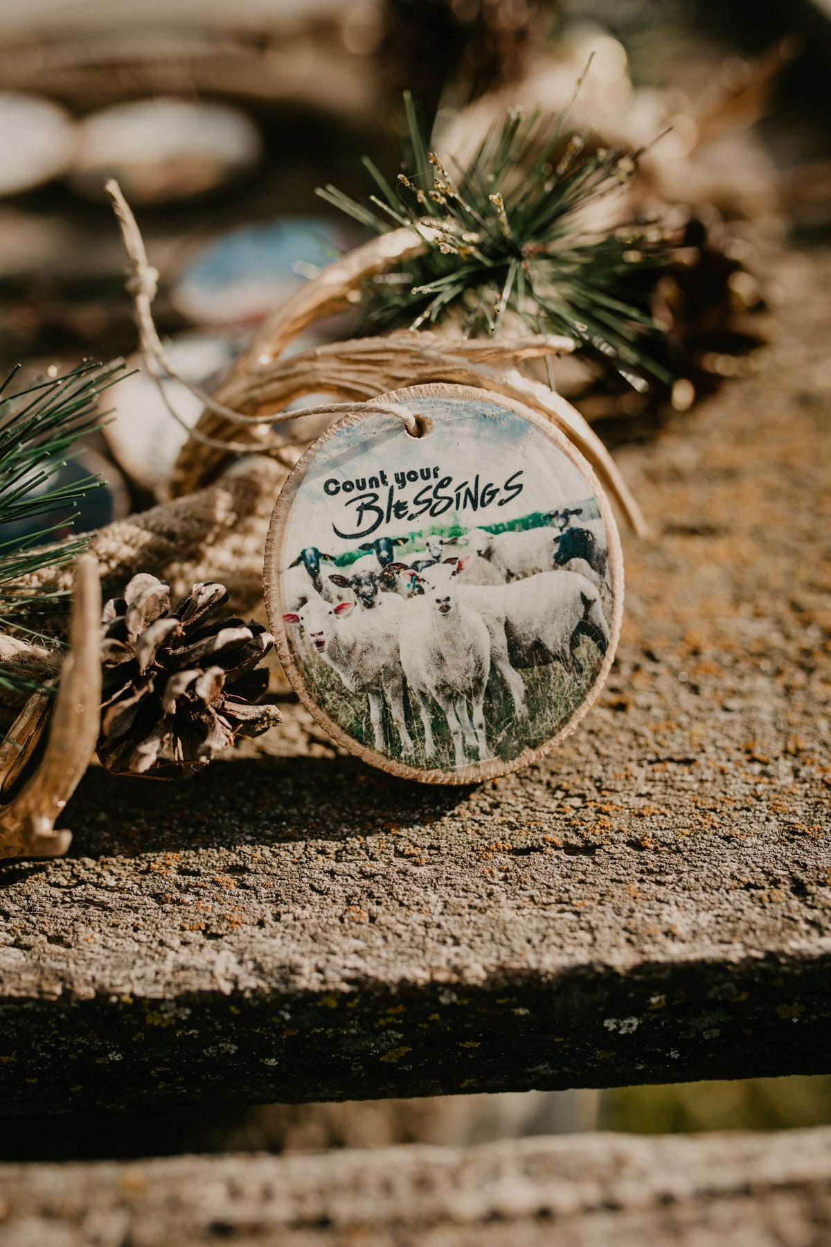 Wooden Tree Slab Ornaments