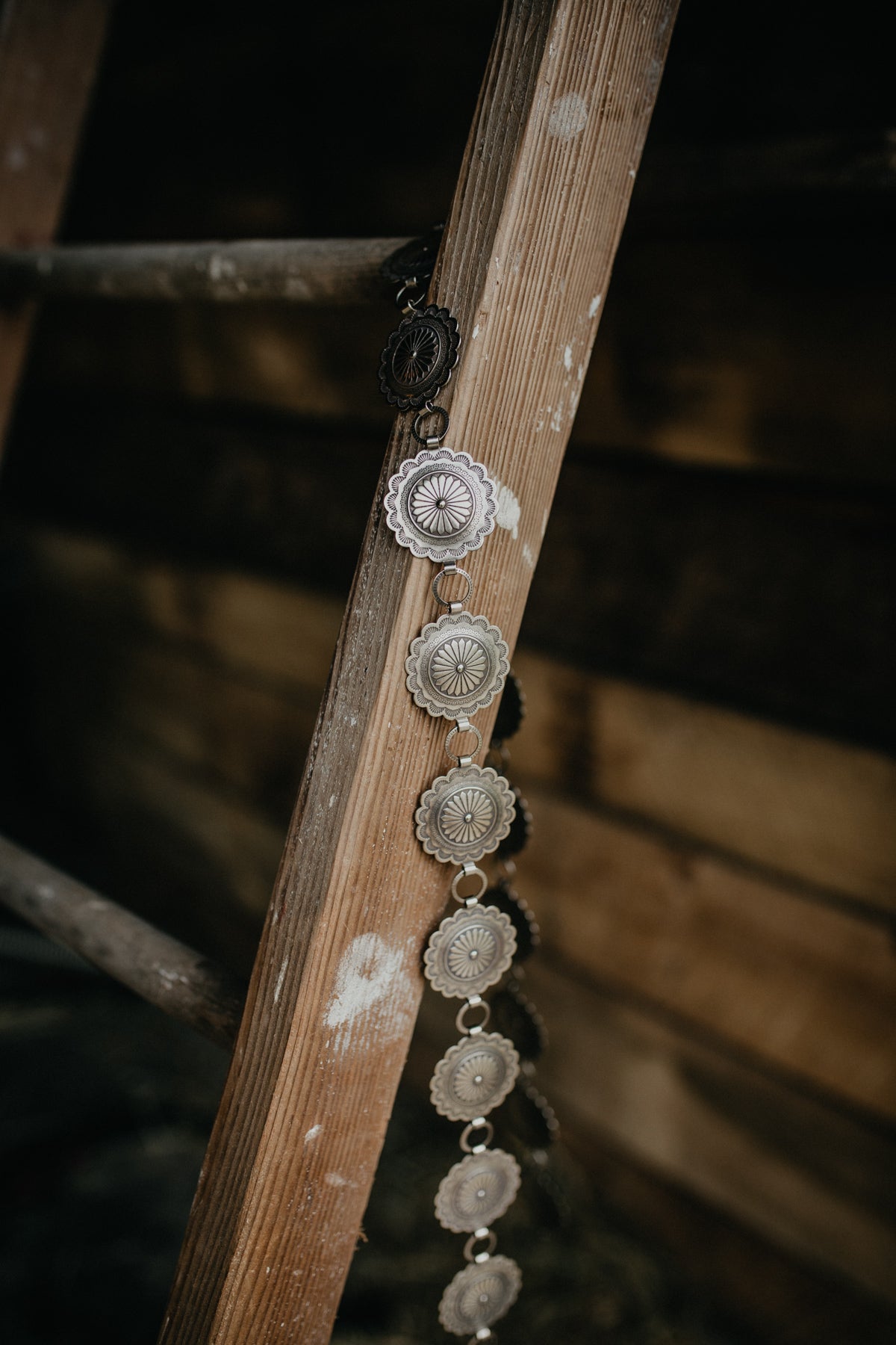 'Starlight' Round Nickle Stamped Concho Belt